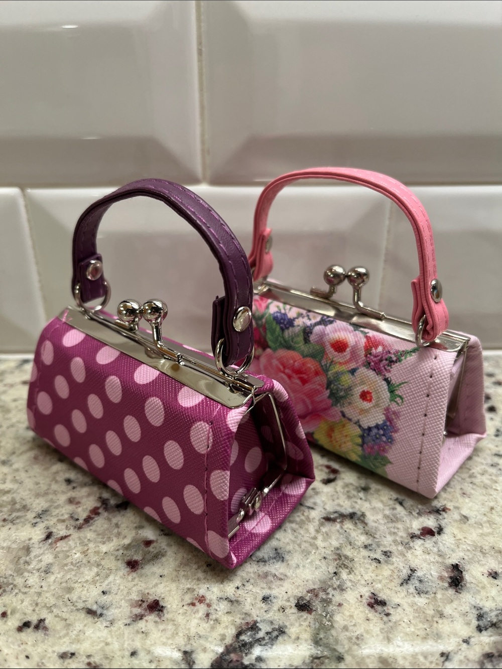 Mini Handbag with Kiss Lock Set of 2 NWT